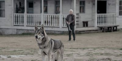 poster de la série Où tu iras, j'irai