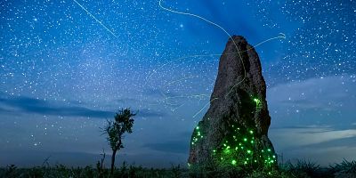 poster de la série Des jaguars dans la jungle