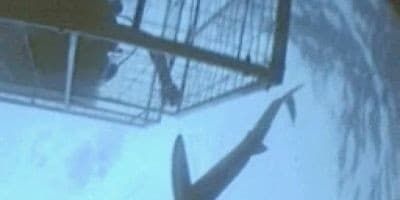 poster de la série Zone interdite