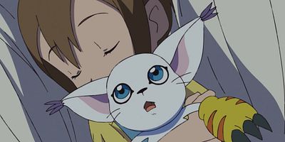 poster de la série Hikari et Tailmon