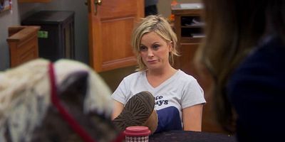 poster de la série Dégringolade