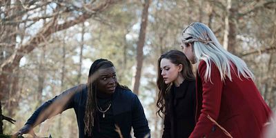 poster de la série Petit mais féroce !