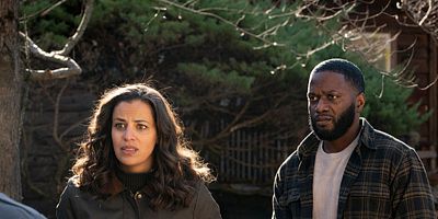 poster de la série Le chaînon manquant