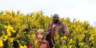 poster de la série Désolé pour tous ces morts