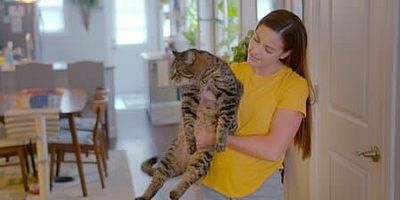 poster de la série Petites pattes pour une grande cause