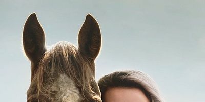 poster de la série Le touriste