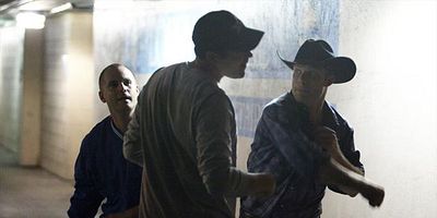 poster de la série Star système