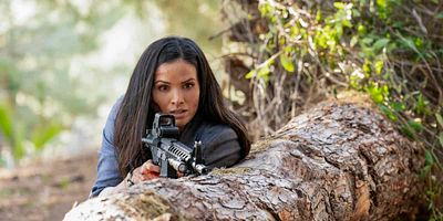 poster de la série Les fugitifs