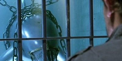 poster de la série Le silence des dauphins