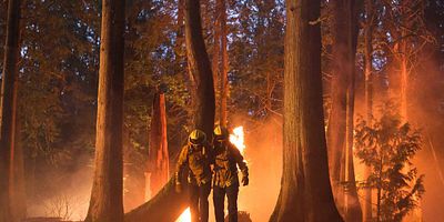 poster de la série Au Cal Fire
