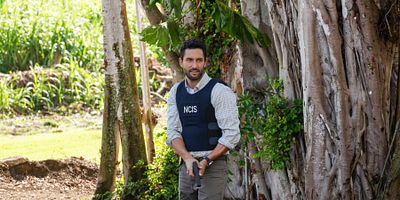 poster de la série La chute