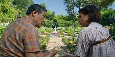 poster de la série Le bras d'intérieur