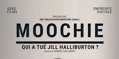 poster de la série 