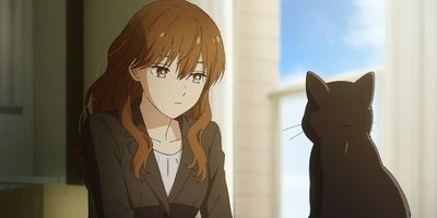 poster de la série Rencontre sous le cerisier et tempête de neige