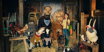 poster de la série Photo de famille