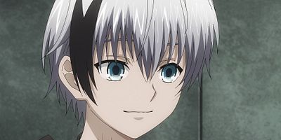 poster de la série Le blason