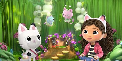 poster de la série Des amis féériques