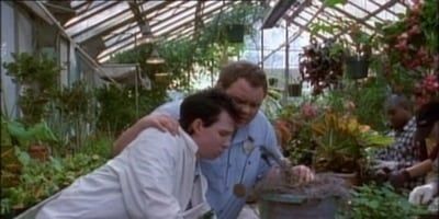 poster de la série Quelques mauvaises graines