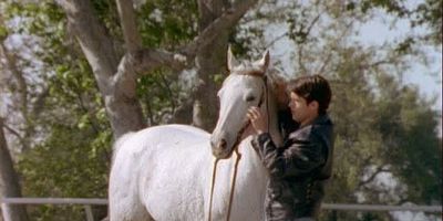 poster de la série Un coup de froid