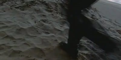 poster de la série Les beautés de la plage