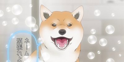 poster de la série Le mangaka et le shiba