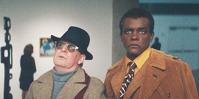 poster de la série La vie secrète des cygnes