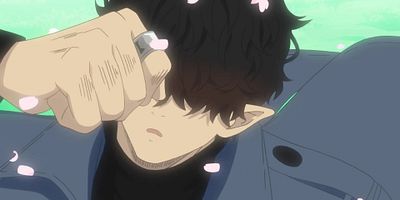 poster de la série À la chute des fleurs