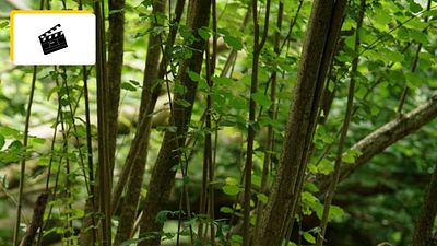 image de la news "Fascinant et mélancolique" : noté 3,7 sur 5, c'est le film à voir absolument cette semaine !