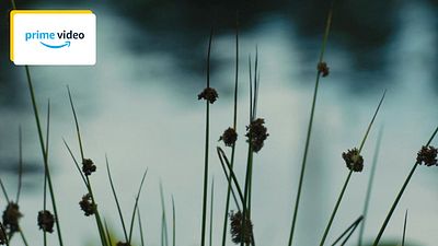 image de la news Nouveau en streaming : l'une des trilogies de science-fiction les plus populaires des années 2010 est à revoir