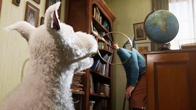 image de la news 374 millions de dollars dans le monde : 15 ans après, ce film d'aventures signé Steven Spielberg va-t-il enfin avoir une suite ?