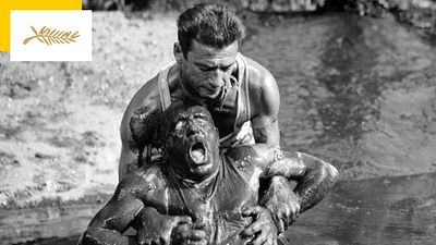 image de la news Cannes au box-office : la Palme d'or qui a réalisé le plus d'entrées en France est...