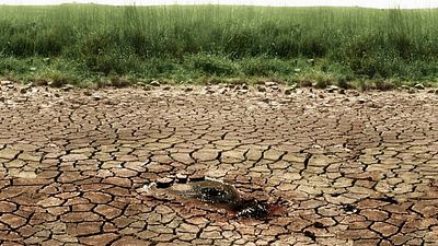 image de la news Cette scène d’ouverture est un chef d'oeuvre du western : il y a deux ans, elle a mis tout le monde d'accord