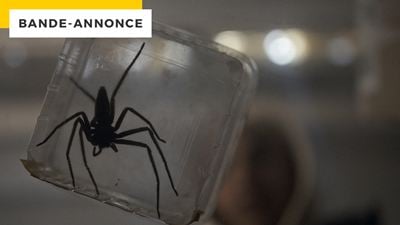 Vermines : si vous avez peur des araignées, ne regardez pas cette bande-annonce...