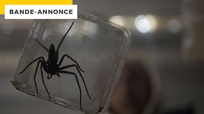 image de la news Vermines : si vous avez peur des araignées, ne regardez pas cette bande-annonce...