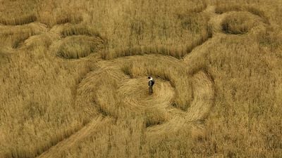 image de la news Après Projet Dernière Chance avec Ryan Gosling, voici 11 autres films de science-fiction à voir au cinéma en 2026 !
