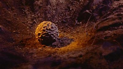 image de la news Depuis 65 ans, personne n’appelle ce célèbre film de science-fiction par son vrai titre