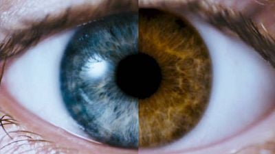 image de la news Ce soir sur Netflix : fuir est la seule option dans ce thriller psychologique qui cartonne sur la plateforme