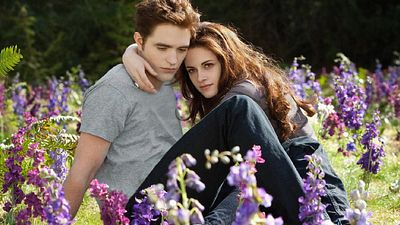 image de la news "Je ne peux pas ne pas la regarder" : le projet de série Twilight divise les fans de Bella et Edward