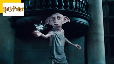 image de la news Fans d'Harry Potter, ne laissez plus vos chaussettes sur le mémorial de Dobby !