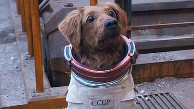 image de la news "De qualité, humaniste et puissant" : noté 4,2 sur 5, c'est le meilleur film fantastique de l'année 2023... Et c'est la fin d'une saga culte qui nous manque beaucoup aujourd'hui !