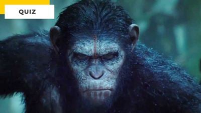 Quiz Cinéma : saurez-vous reconnaître ces 9 singes ?