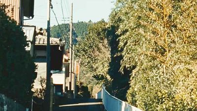 image de la news Le meilleur film de la semaine est "une merveille de délicatesse"