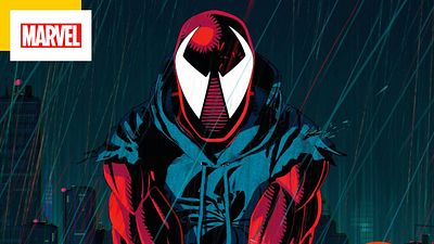 image de la news Spider-Man : le prochain film avec Tom Holland teasé par ce détail de Across the Spider-Verse ?