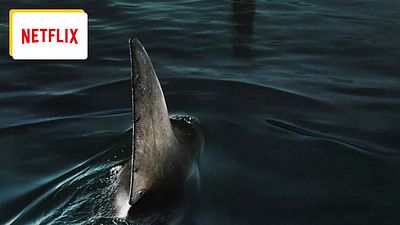 image de la news Netflix : 17 nouveaux films à voir en juin 2024, dont le film de requins qui va faire parler tous les Français !