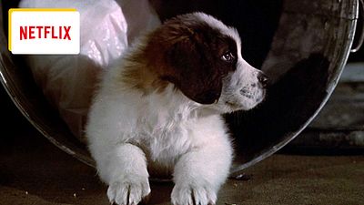 image de la news Dernière chance sur Netflix pour voir ce film qui réunit à chaque fois toute la famille depuis plus de 30 ans