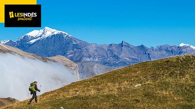 image de la news On a trouvé le prochain César du Meilleur film documentaire ! Découvrez Vivre avec les loups, en salle dès aujourd’hui