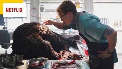 image de la news Viking Wolf sur Netflix : que comprendre de la fin ?