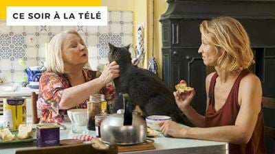 Ce soir à la télé : avec 2 millions d’entrées, cette comédie a cartonné en salles… mais pas sa suite !