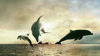 image de la news Sorti il y a 17 ans, ce bouleversant film oscarisé a provoqué la fureur du Japon, et on comprend pourquoi