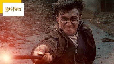 Harry Potter : un média US supplie Warner de renoncer au reboot